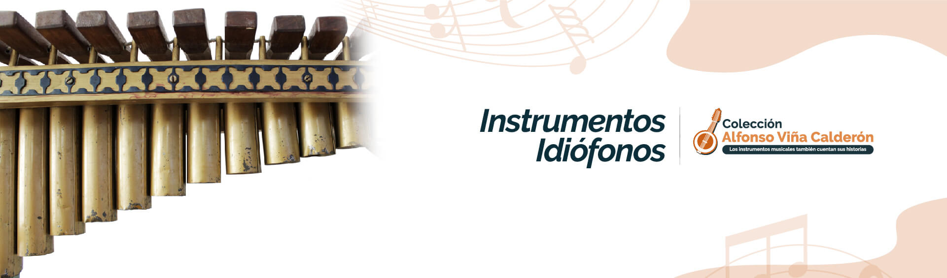banner de la página instrumentos idiófonos del museo Alfonso Viña